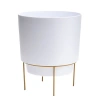 Bloem Hopson 14" Casper White Planter W/ Metal Gold Stand Made Of Durable Resin In White