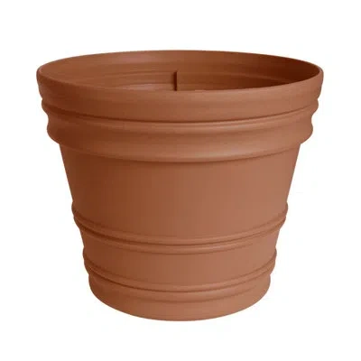 Bloem Rolled Rim Resin Indoor/outdoor Planter Pot In Terra Cotta