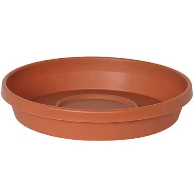Bloem Terra 14.75 Inch Resin Saucer In Brown