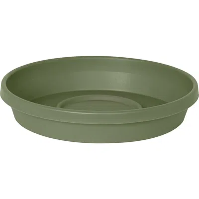 Bloem Terra 17 Inch Resin Saucer In Green