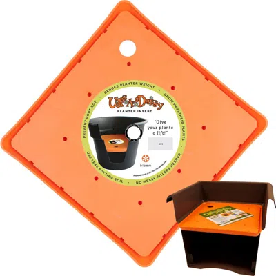 Bloem Upsadaisy Square Planter Insert In Orange