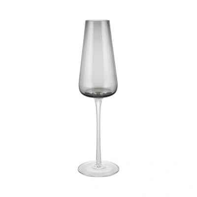 Blomus Belo Champagne Flute Glasses Set Of 2 In Smoky Gray