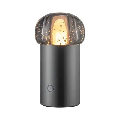 Blomus Iris Metal Globe Lamp In Gunmetal Gray