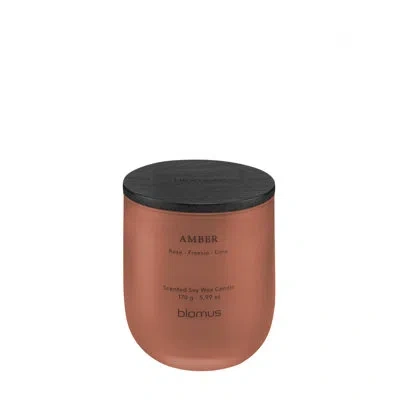 Blomus Tuoksu Scented Candle - Amber (rose/freesia/lime) In Brown