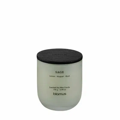 Blomus Tuoksu Scented Candle - Sage (lemon/muguet/musk) In Green