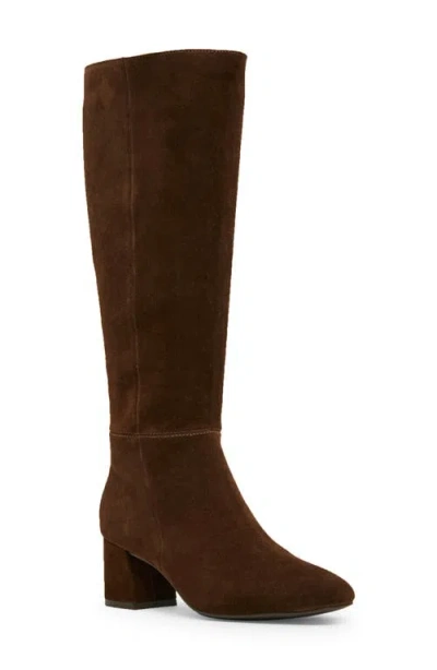 Blondo Alexis Waterproof Knee High Boot In Brown