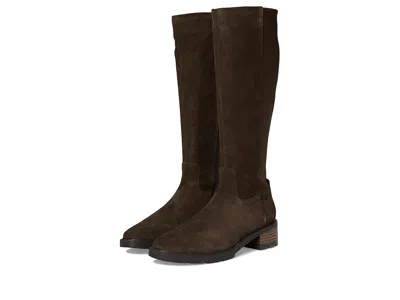 Blondo Harriet Waterproof In Brown