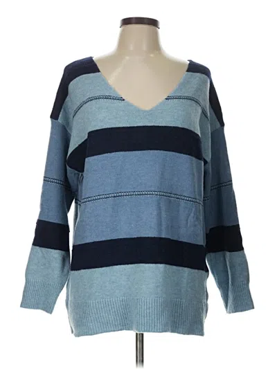 Pre-owned Bloomchic Pullover Sweater In Blue