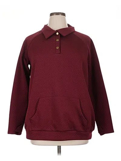 Pre-owned Bloomchic Pullover Sweater In Burgundy