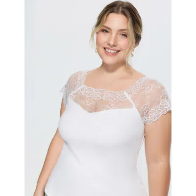 Bloomchic Sheer Lace Neckline Plain Knit Top In White