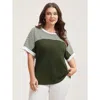 Bloomchic Solid And Striped Contrast Hem T-shirt In Black Forest