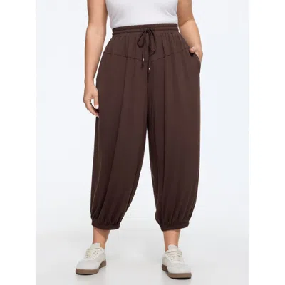 Bloomchic Supersoft Drawstring Elastic Waist Jogger Pants In Brown