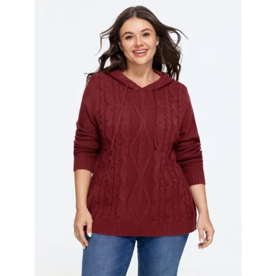 Bloomchic Textured Cable Knit Hooded Pullover In Multi