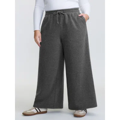 Bloomchic Women's Plus Size Fleece Lined Stretchy Drawstring Pants Dimgray Non Wide Leg Mid Rise Casual 12/l