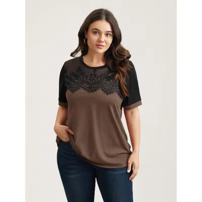 Bloomchic Women's Plus Size Stretchy Scalloped Lace Color Contrast T-shirt Browncoffeecolor Solid Elegant Shor