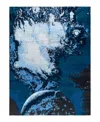 Bloomingdale's Indo Ikat M7146 Area Rug, 9'2 X 12'1 In Black