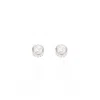 Bloomtine | Earth Angel Hq Women's Illuminess ™ 14k White Gold Diamond Studs In White
