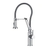 Blossom Pull Down Single Handle Kitchen Faucet In Silver