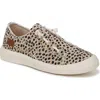 Blowfish Malibu Beachside Low Top Sneaker In Pixie Cheetah Fabric