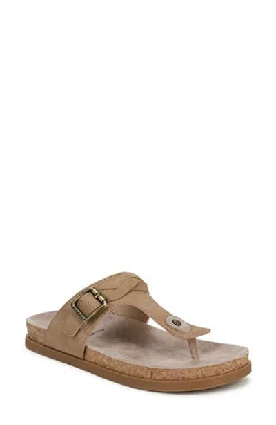 Blowfish Malibu Lakeshore Thong Sandals In Brown
