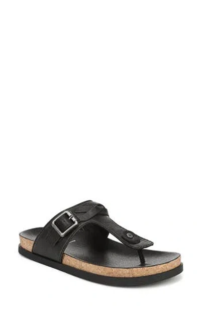 Blowfish Malibu Lakeshore Thong Sandals In Black