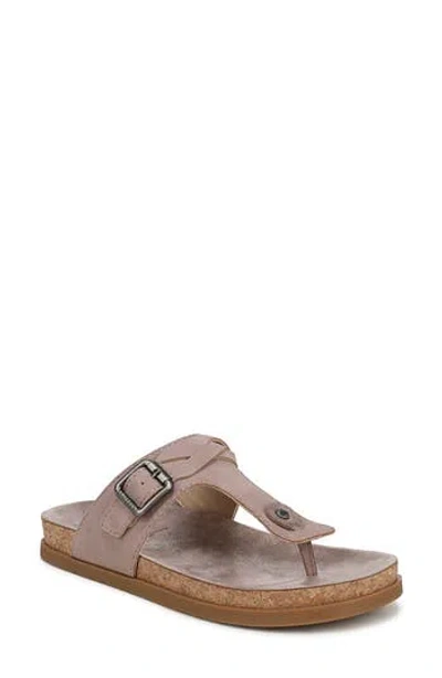 Blowfish Malibu Lakeshore Thong Sandals In Brown