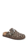 Blowfish Malibu Sienna Buckle Clog