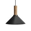 Blu Dot Emblem Medium Pendant Light In Black/walnut