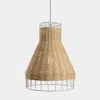 Blu Dot Laika Medium Plus Pendant Light