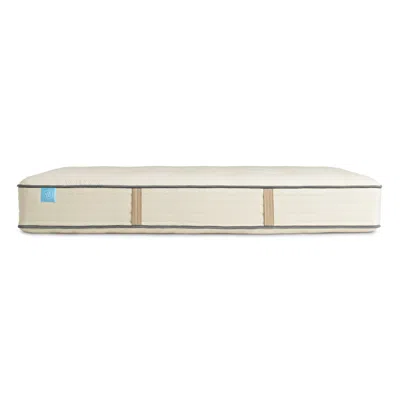 Blu Dot Natural Hybrid Mattress In White