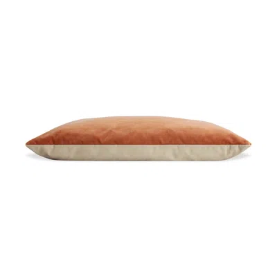 Blu Dot Signal Small Dog Bed - Copper Velvet