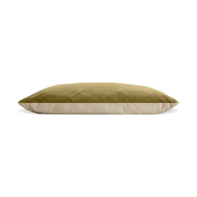Blu Dot Signal Small Dog Bed - Loden Velvet