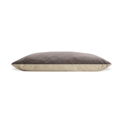 Blu Dot Signal Small Dog Bed In Storm Velvet