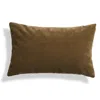 Blu Dot Signal Velvet 20" X 13" Lumbar Pillow In Moss Velvet