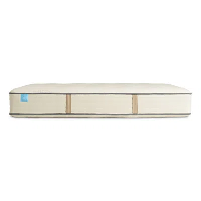 Blu Dot The  Natural Hybrid Mattress