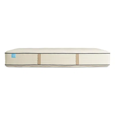 Blu Dot The  Natural Hybrid Mattress - Queen