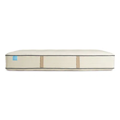 Blu Dot The  Natural Hybrid Mattress - Twin