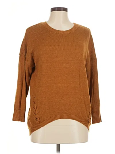 Pre-owned Blu Pepper Pullover Sweater In Brown