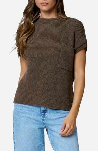 Blu Pepper Short Sleeve Sweater In Brown