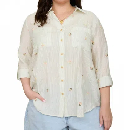 Blu Pepper Stripe Floral Embroidery Long Sleeve Top - Plus In Light Olive In Neutral