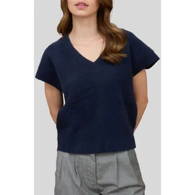 Blu Pepper V-neck Sweater Vest In Blue