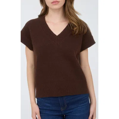 Blu Pepper V-neck Sweater Vest In Brown