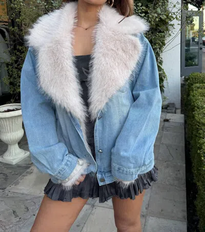 Blue B Big Sky Western Jacket In Medium Wash