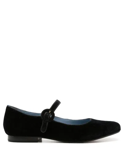 Blue Bird Shoes Velvet Ballerina Flats In Black