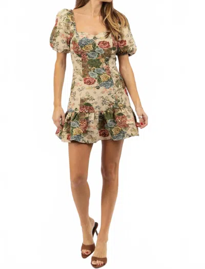 Blue Blush Floral Corset Back Tie Mini Dress In Brown In Multi