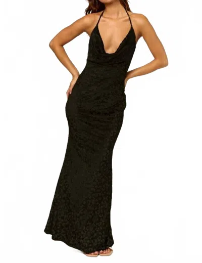 Blue Blush Halter Leopard Print Maxi Dress In Black