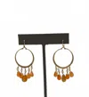 Blue Copper Women's Carnelian & Opal Earrings In Gold In Brown