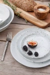 Blue Pheasant Marcus Dinner Plate, Set Of 4