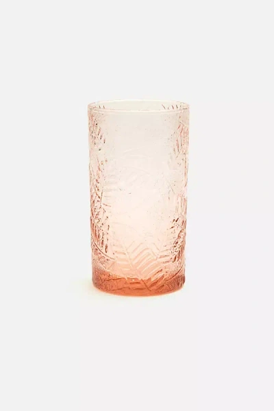 Blue Pheasant Peyton Highball Glass, Set Of 6 In Pink