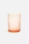Blue Pheasant Peyton Tumbler Glass, Set Of 6 In Pink